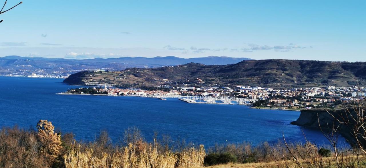 Sea House Βίλα Izola Εξωτερικό φωτογραφία